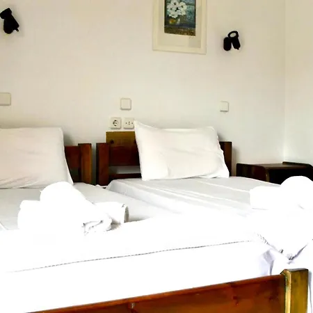 Camelia Apartahotel Yénion