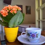Camelia Aparthotel