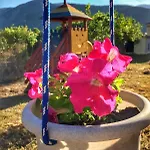 Camelia 3* Geni (Lefkada)
