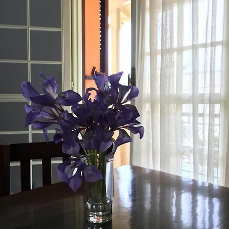 Camelia 3* Geni (Lefkada)