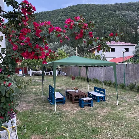 Camelia Aparthotel 3*